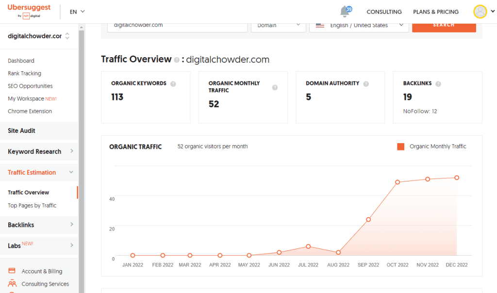 website traffic overview